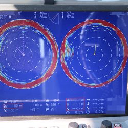 松本釣船２ 釣果