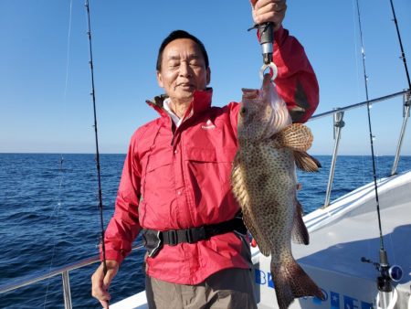 ブルーピア 釣果