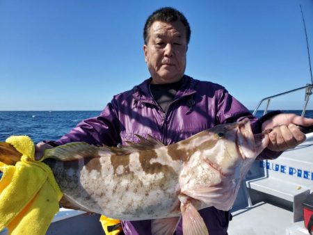 ブルーピア 釣果