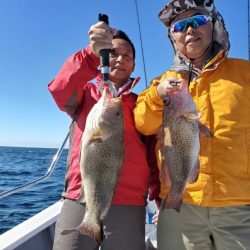 ブルーピア 釣果