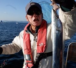 遊漁船 幸友丸 釣果