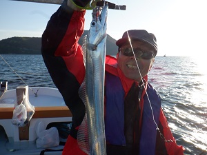 遊漁船 幸友丸 釣果