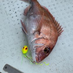 マタウマリンサービス 釣果