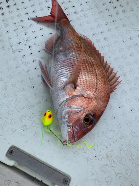 マタウマリンサービス 釣果