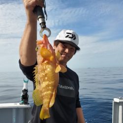 ブルーピア 釣果