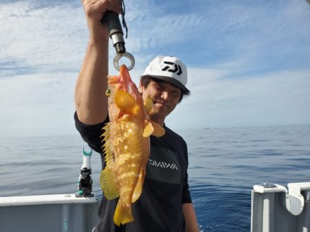 ブルーピア 釣果