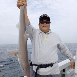 フィッシングボートACE(エース) 釣果