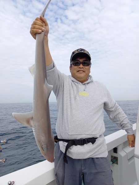 フィッシングボートACE(エース) 釣果