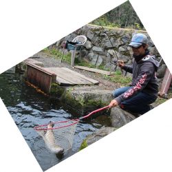 小菅トラウトガーデン 釣果