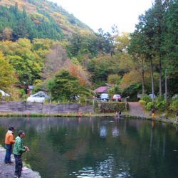 小菅トラウトガーデン 釣果