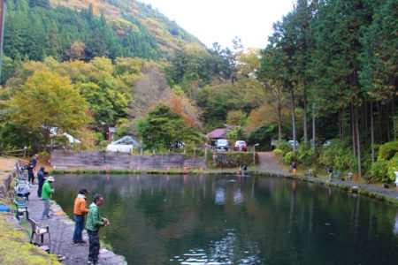 小菅トラウトガーデン 釣果