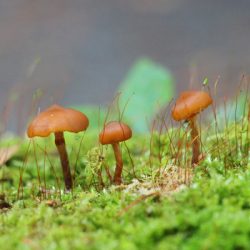 小菅トラウトガーデン 釣果