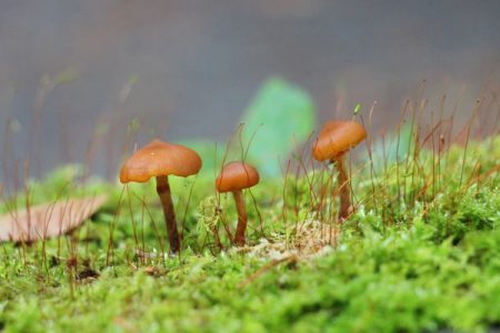 小菅トラウトガーデン 釣果