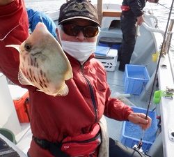 遊漁船 幸友丸 釣果