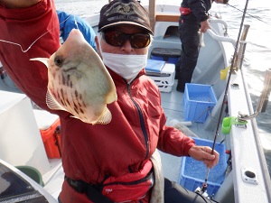 遊漁船 幸友丸 釣果