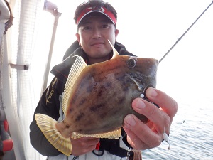 遊漁船 幸友丸 釣果