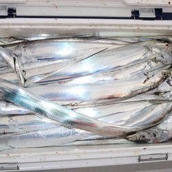 松本釣船２ 釣果