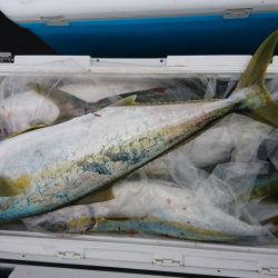 海龍丸（福岡） 釣果