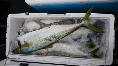 海龍丸（福岡） 釣果