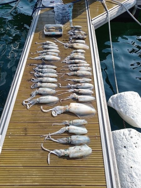 フィッシングボートACE（エース） 釣果