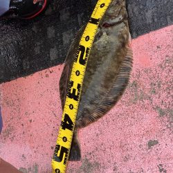 第八平成丸 釣果