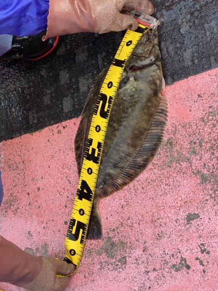 第八平成丸 釣果