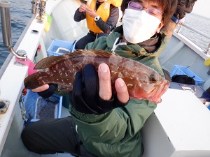 遊漁船 幸友丸 釣果