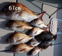 遊漁船 幸友丸 釣果