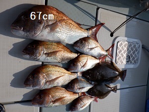 遊漁船 幸友丸 釣果