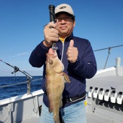 ブルーピア 釣果