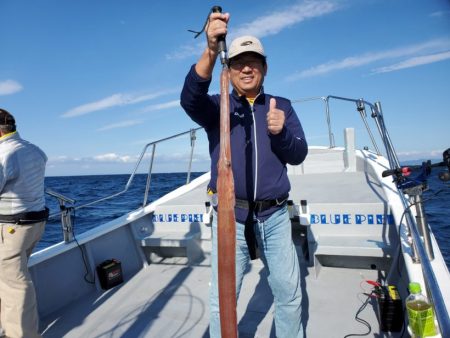 ブルーピア 釣果