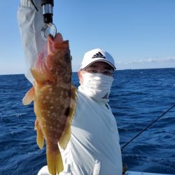 ブルーピア 釣果