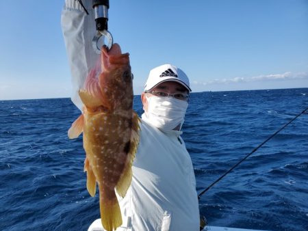 ブルーピア 釣果