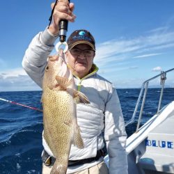 ブルーピア 釣果