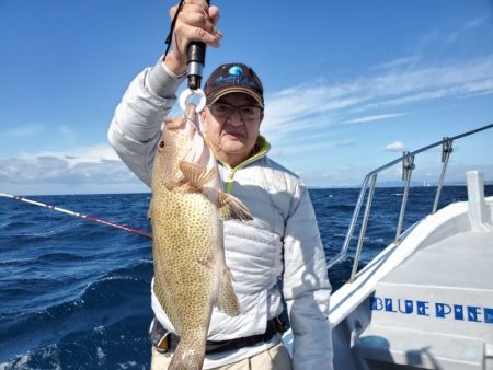 ブルーピア 釣果