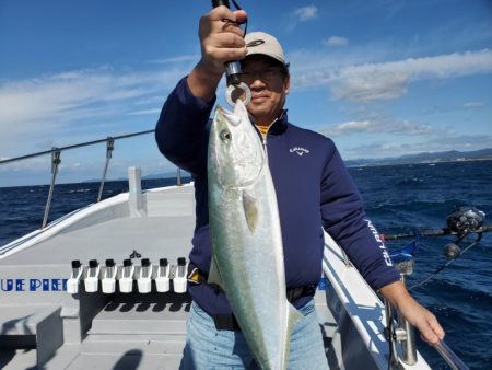 ブルーピア 釣果