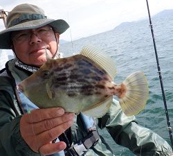 遊漁船 幸友丸 釣果