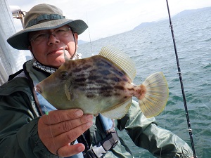 遊漁船 幸友丸 釣果