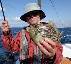 遊漁船 幸友丸 釣果