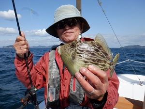 遊漁船 幸友丸 釣果