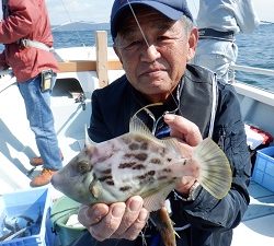 遊漁船 幸友丸 釣果