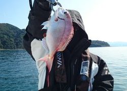 愛裕南丸 釣果