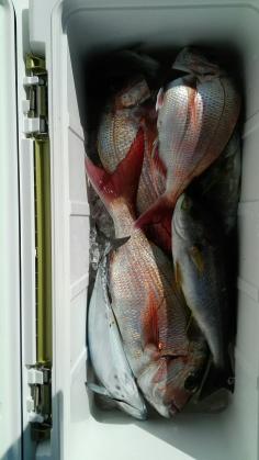 長栄丸(静岡) 釣果