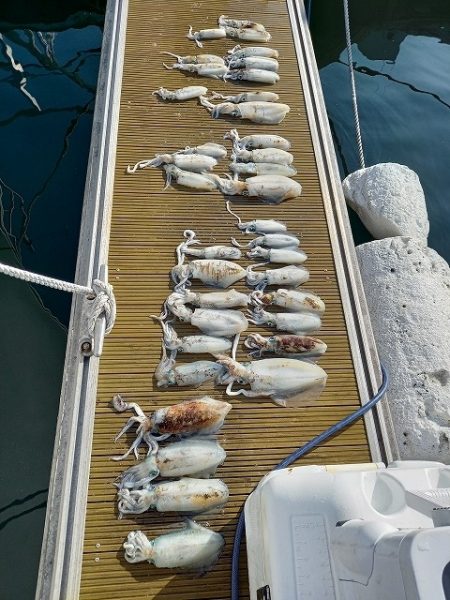 フィッシングボートACE（エース） 釣果