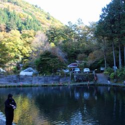 小菅トラウトガーデン 釣果