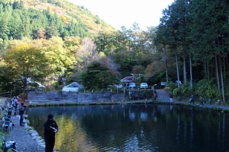 小菅トラウトガーデン 釣果