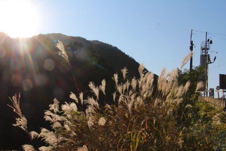 小菅トラウトガーデン 釣果