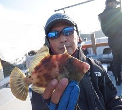 遊漁船 幸友丸 釣果