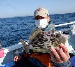 遊漁船 幸友丸 釣果