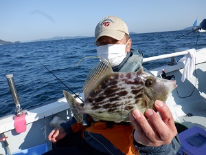 遊漁船 幸友丸 釣果
